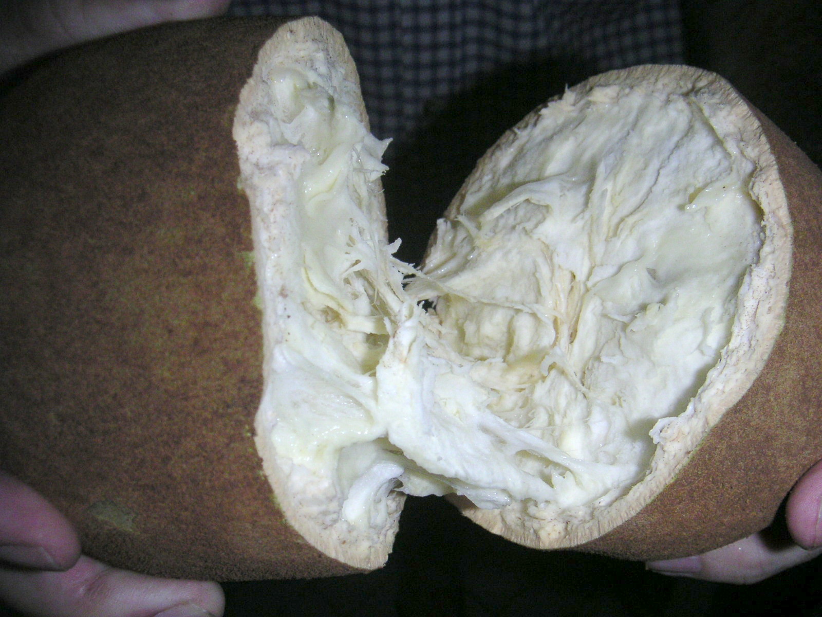 MINOLTA DIGITAL CAMERA