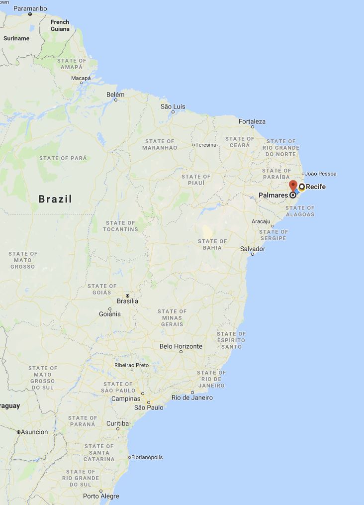 First area Palmares2